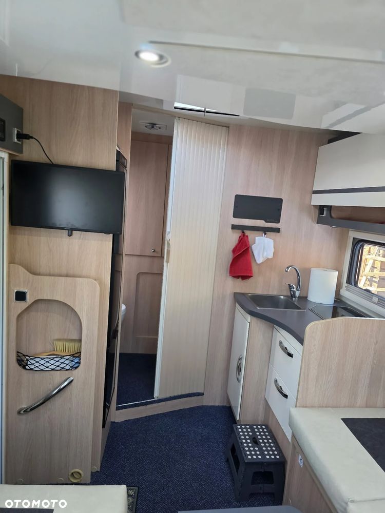 Giottiline Siena - 9