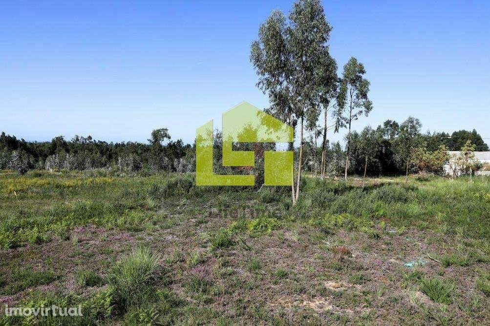 Terreno Urbano em Santa Maria da Feira - Grande imagem: 2/5