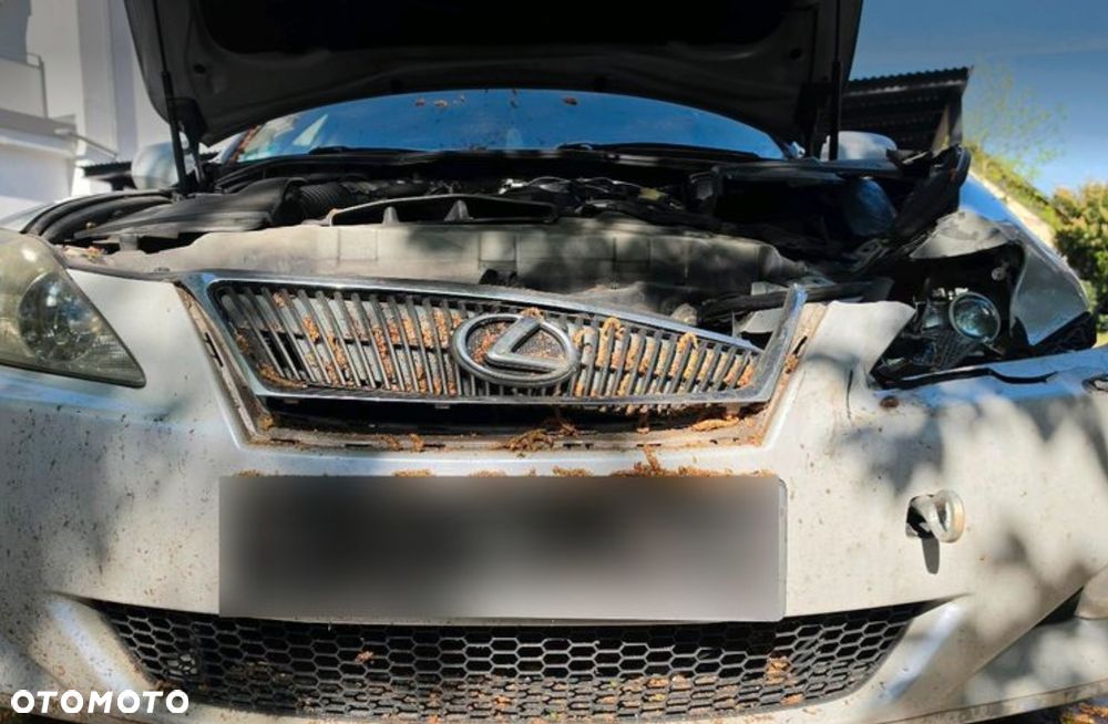 Lexus IS 250 Executive Line - 7