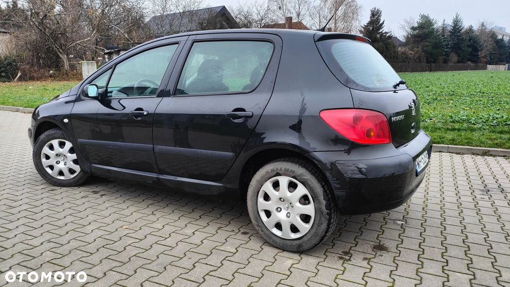 Peugeot 307 1.6 XS - 2