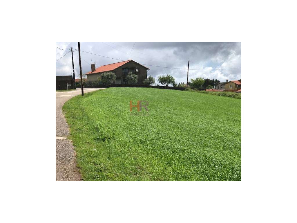 Aveleira- Terreno para Construção - Grande imagem: 2/5