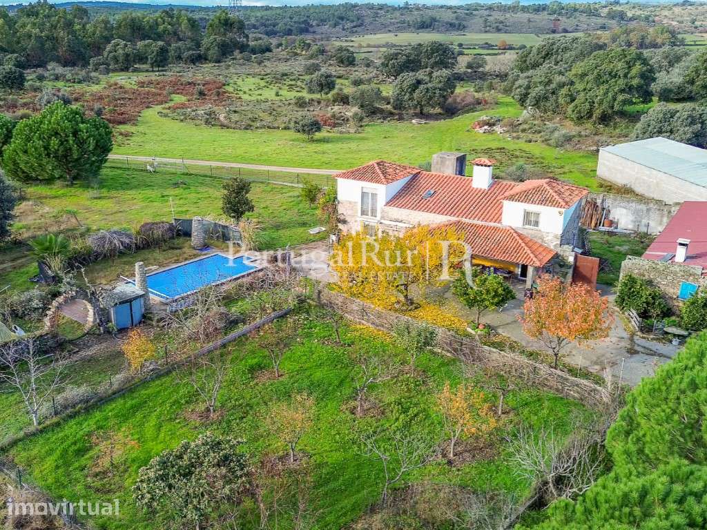 Herdade de 103 ha confinante com o Rio Ocreza em Castelo Branco - Grande imagem: 5/60