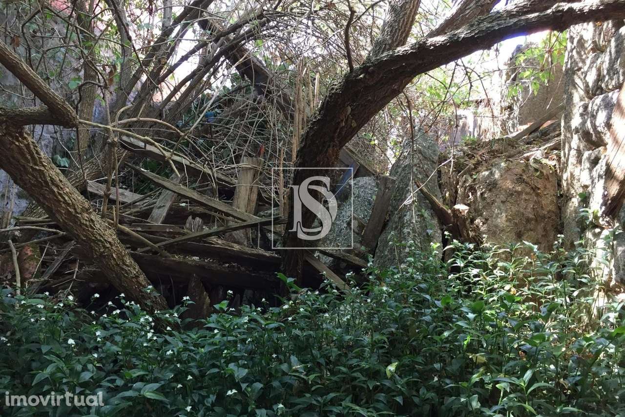 Moradia Devoluta T0 Venda em Santos Evos,Viseu - Grande imagem: 5/9