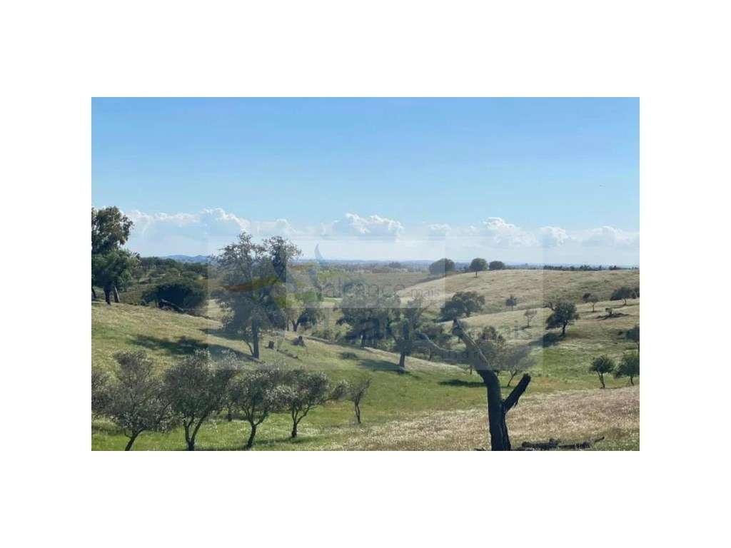 Propriedade com 6,625 hectares em Serpa / Baixo Alentejo - Grande imagem: 3/15