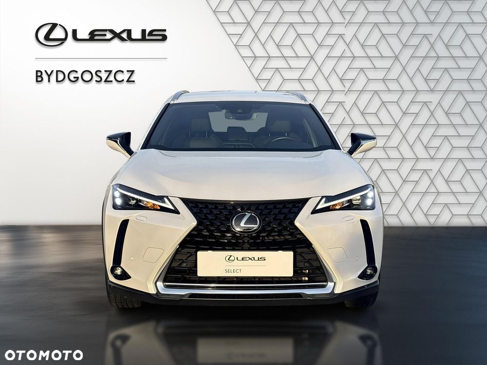 Lexus UX 250h GPF Business 2WD - 2