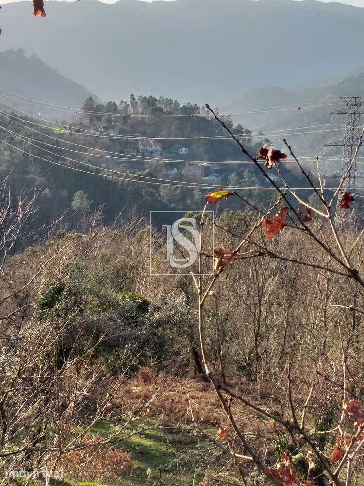Terreno  Venda em Louredo,Vieira do Minho - Grande imagem: 4/11