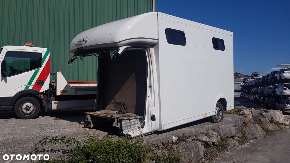 Renault Master, koniowóz - 3