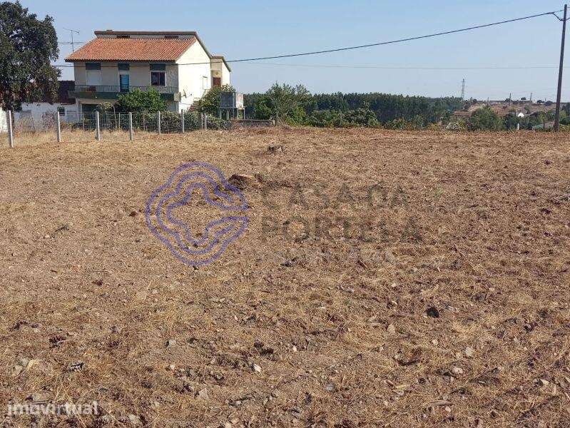 Terreno com 7.050m2 para a construção até 4 moradias, perto de Tomar n - Grande imagem: 2/31
