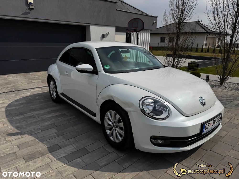 Volkswagen Beetle - 11