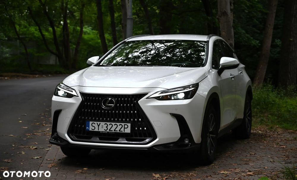 Lexus NX - 7