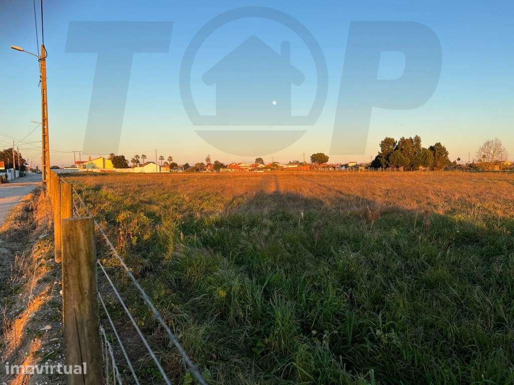Terreno Urbanizável C/ 20.000m2 - Foros de Salvaterra - 320.000€ - Grande imagem: 2/5