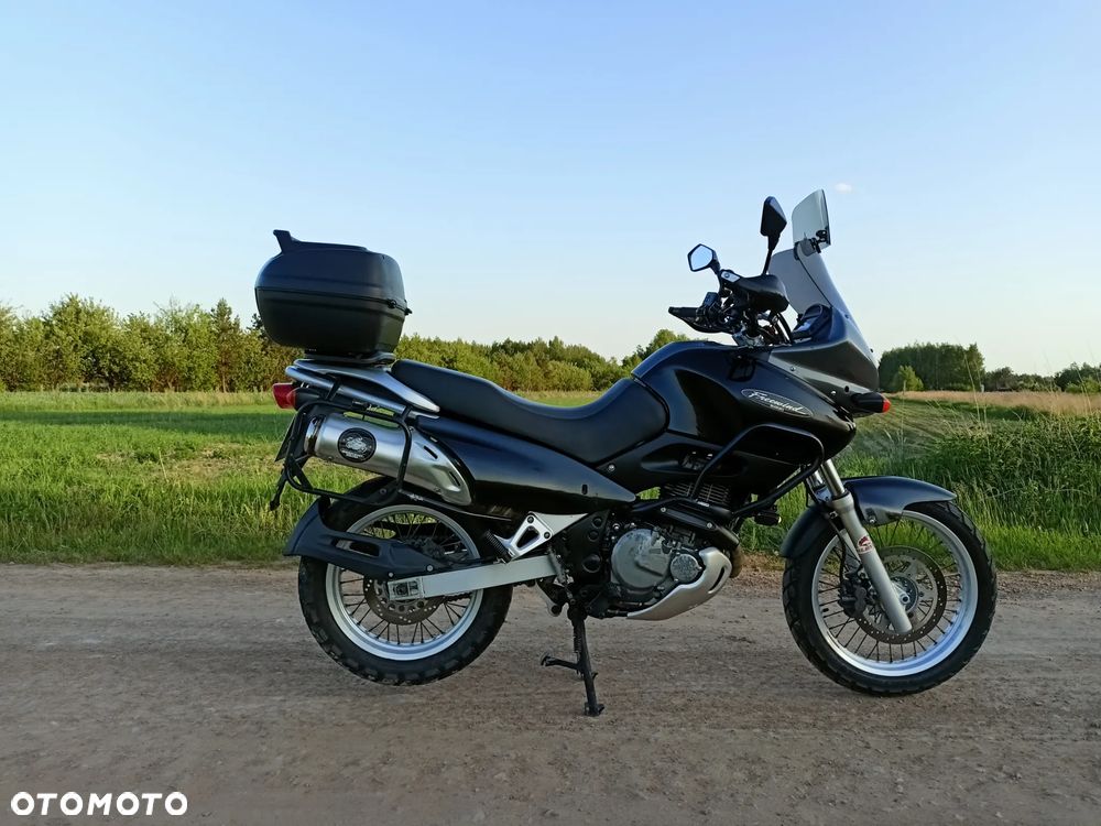 Suzuki XF - 3