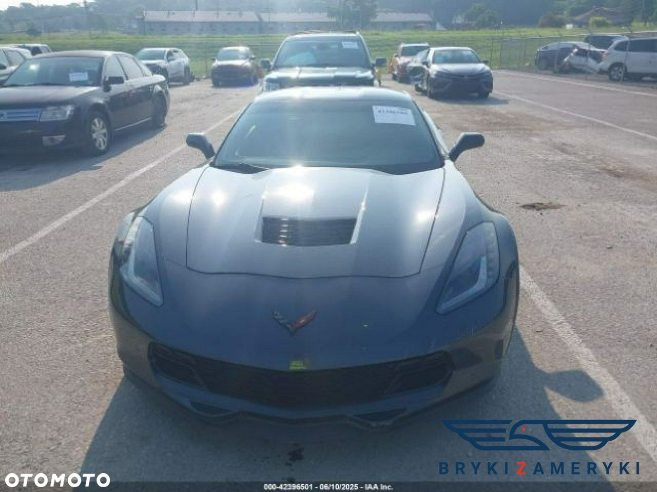 Chevrolet Corvette - 8