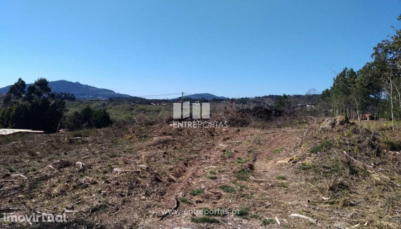 Terreno para venda, Argela, Caminha - Grande imagem: 3/6