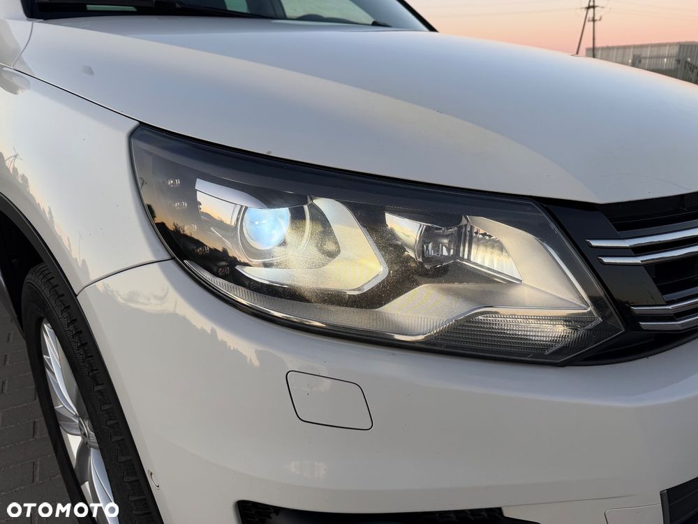 Volkswagen Tiguan - 16