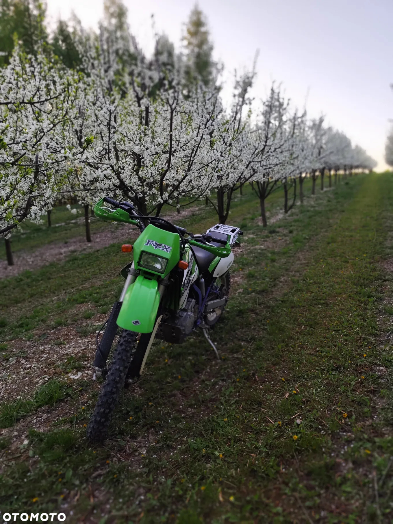 Kawasaki KLX - 2