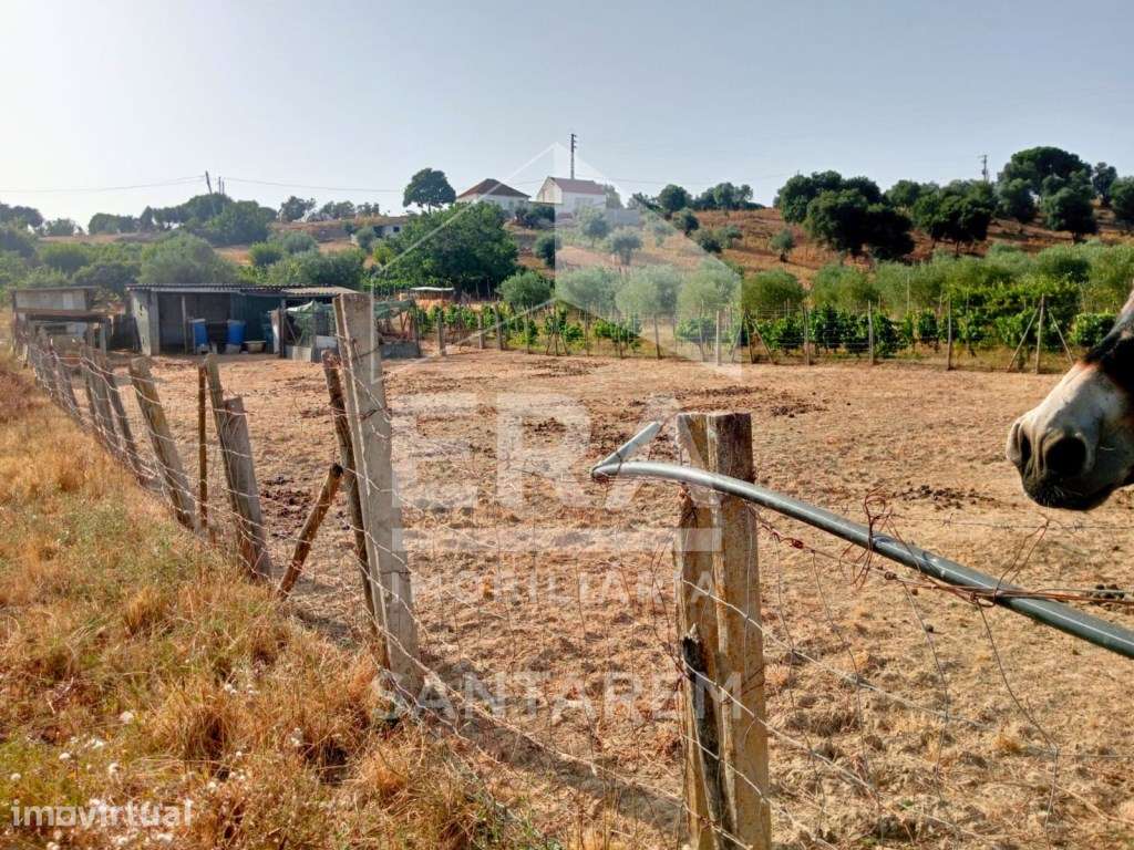 Terreno Rústico com 6.240 m² - Grande imagem: 3/13