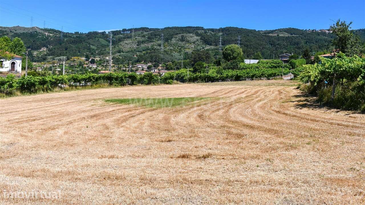 Terreno Rústico / Baião, Gove - Grande imagem: 5/20