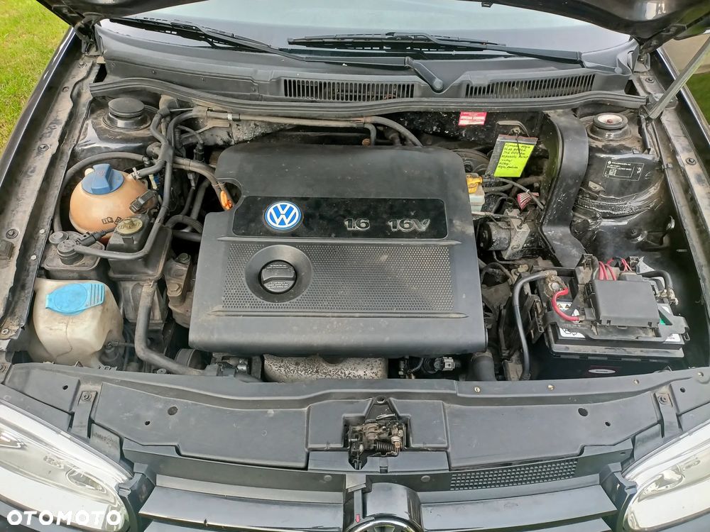 Volkswagen Golf 1.6 Basis - 18