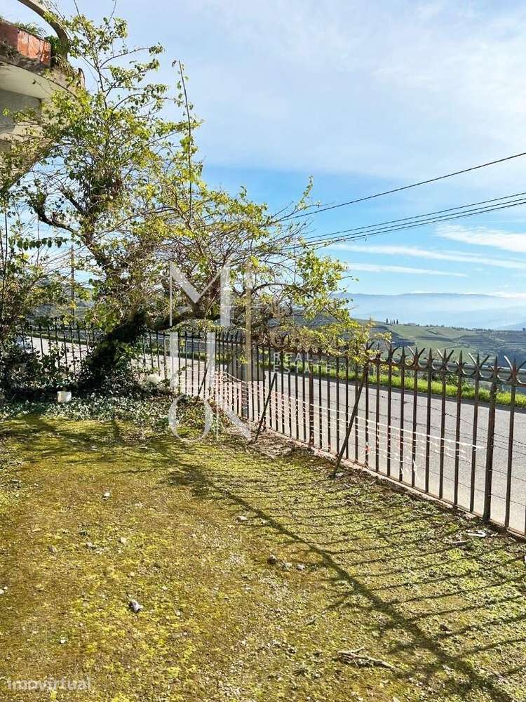 Quinta vinhateira de 1946, em Vila Marim, Mesão Frio – 71.000m2 de His - Grande imagem: 5/14