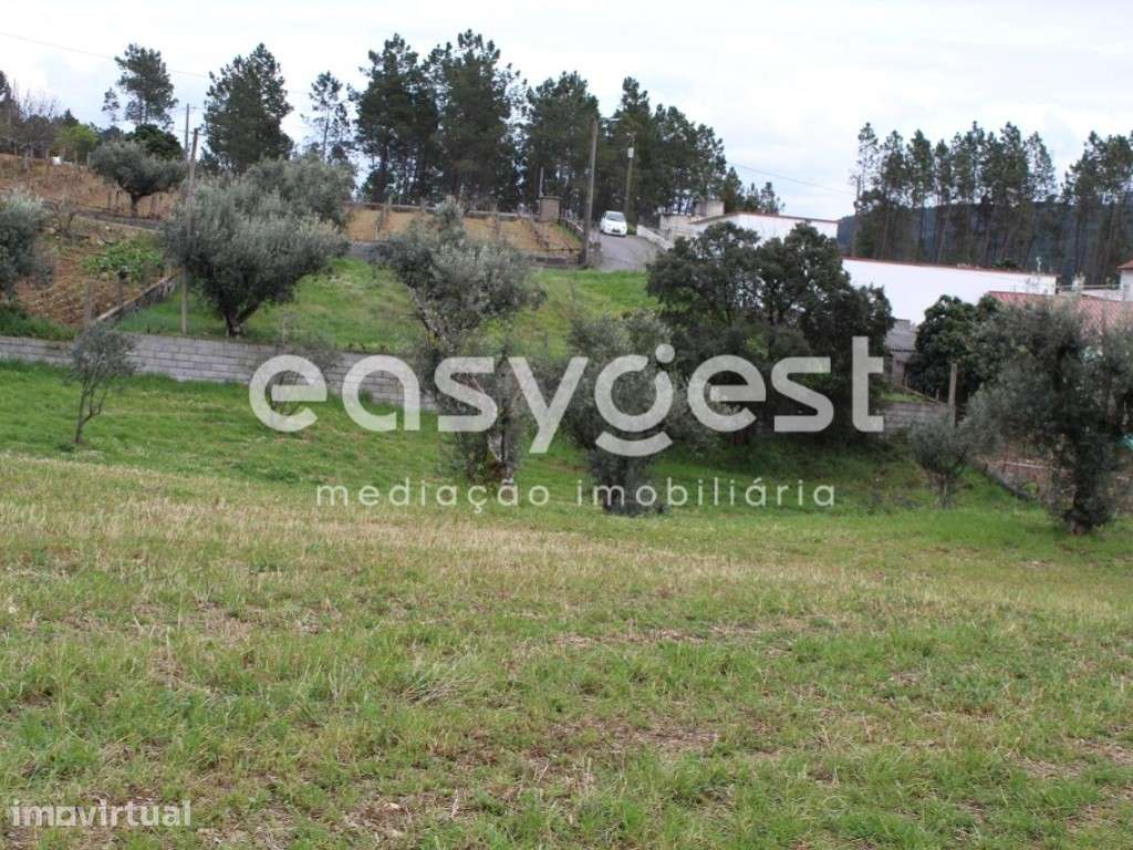 Terreno com 3080m2 de área localizado no Centro de Portugal - Grande imagem: 5/28