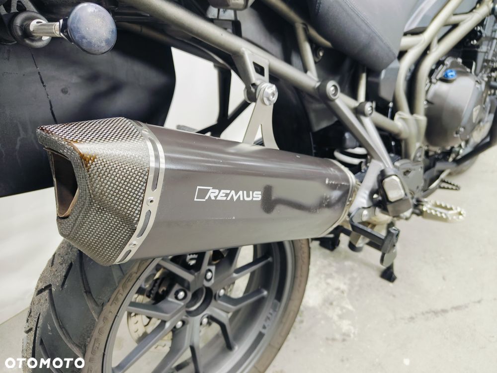 Triumph Tiger - 10
