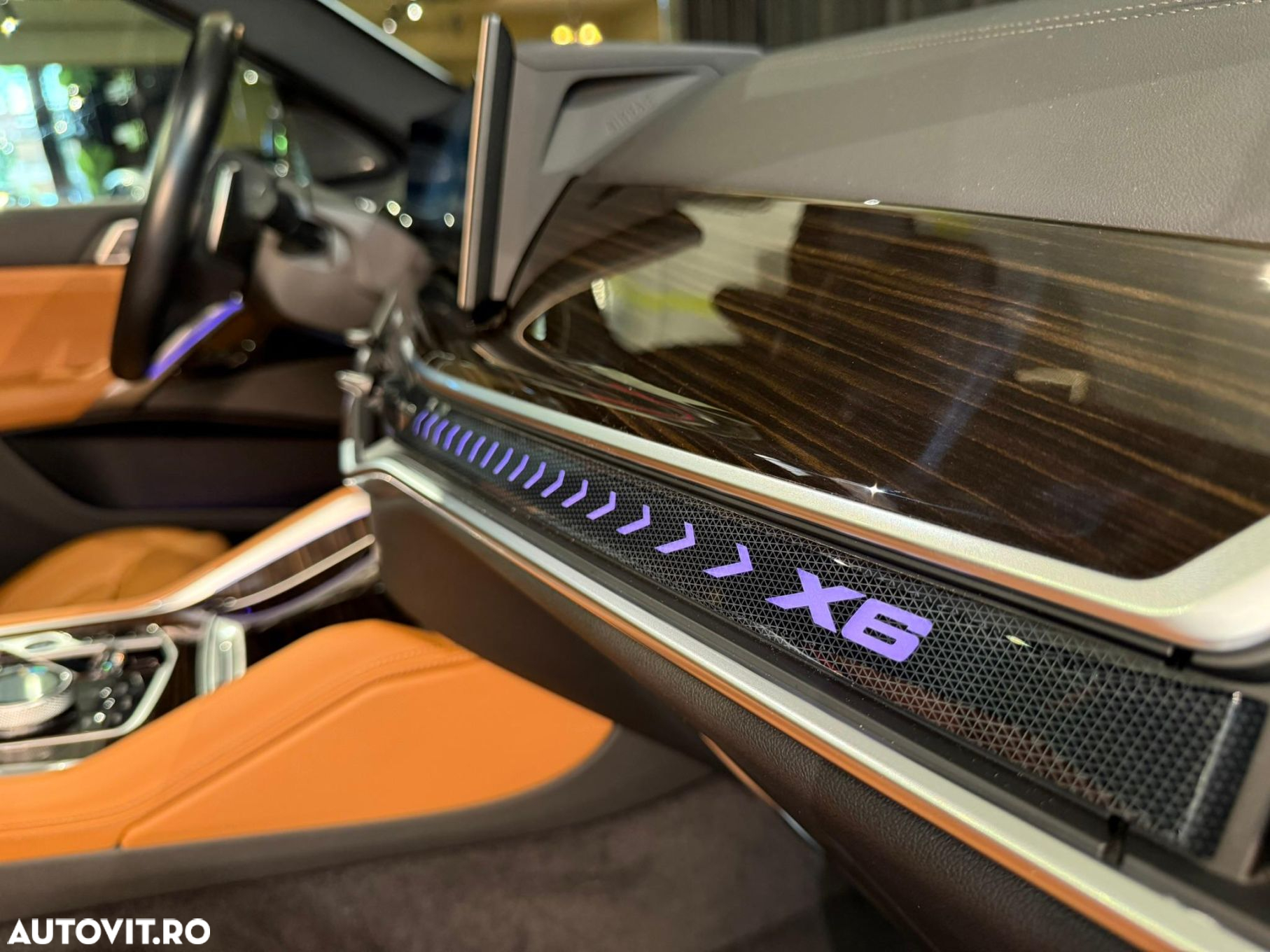 BMW X6 - 21