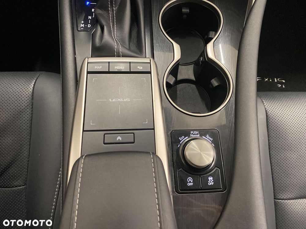 Lexus RX - 23