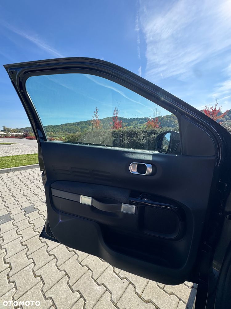 Citroën C4 Cactus - 10