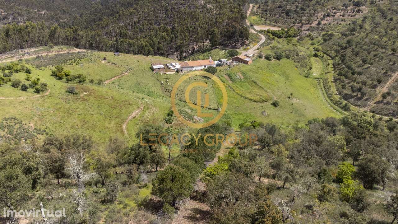 Quinta de 15 ha com habitação de 112m2 em São Martinho das Amoreiras - Grande imagem: 2/44