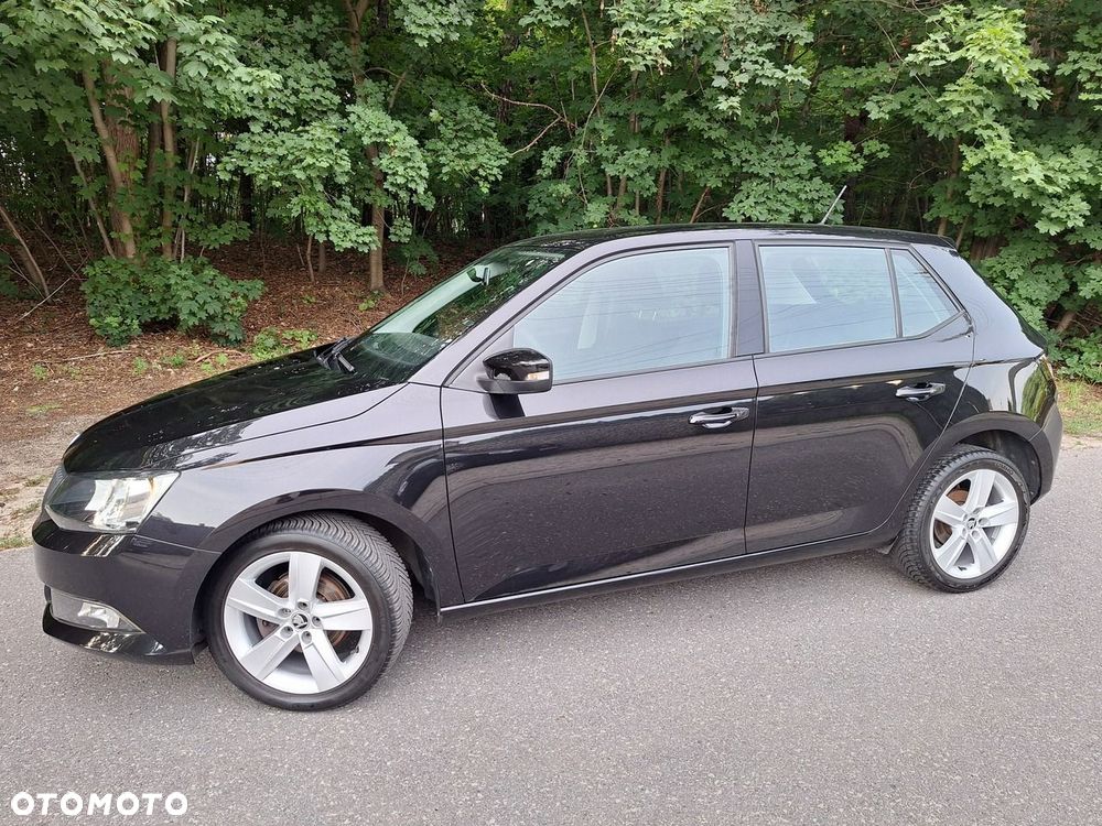 Skoda Fabia - 30