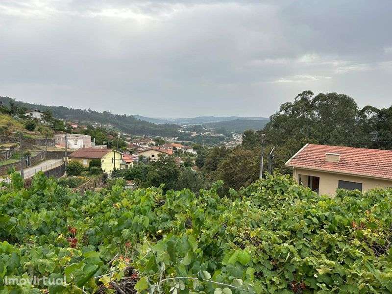 Casa T2 + terreno (5000m2) - Grande imagem: 3/12