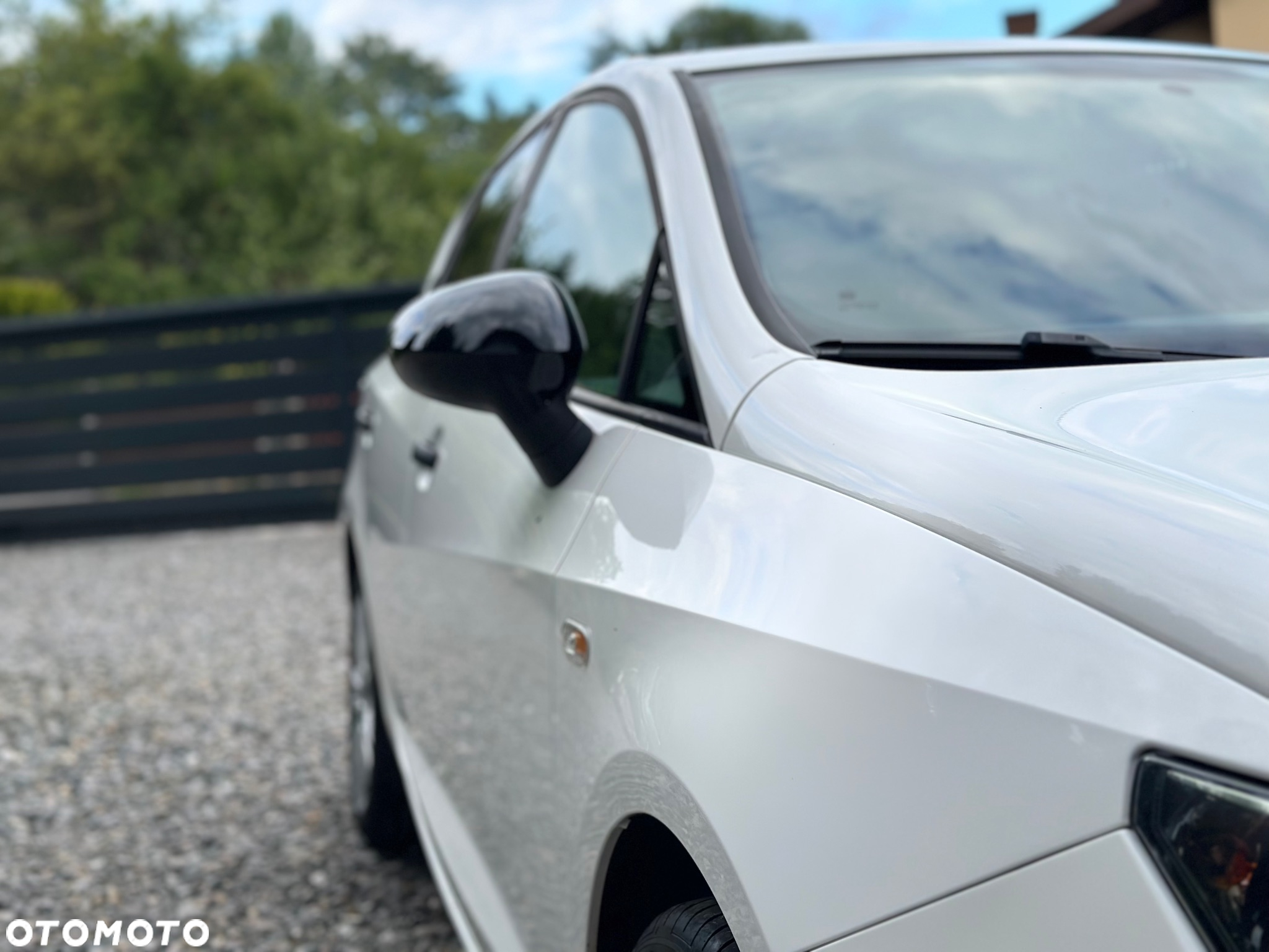 Seat Ibiza - 22