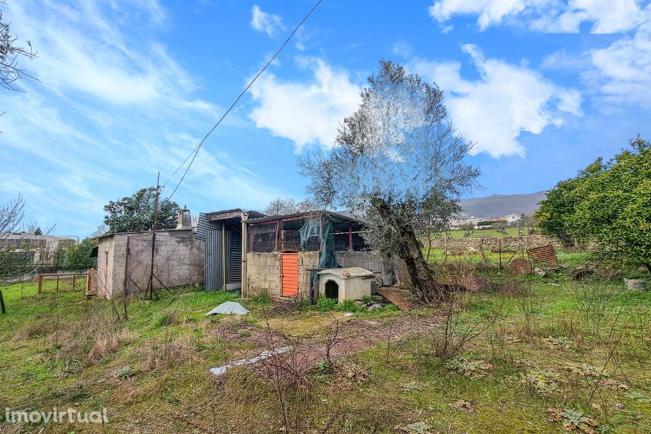Moradia Independente no Covelo, Covilhã - Grande imagem: 4/20