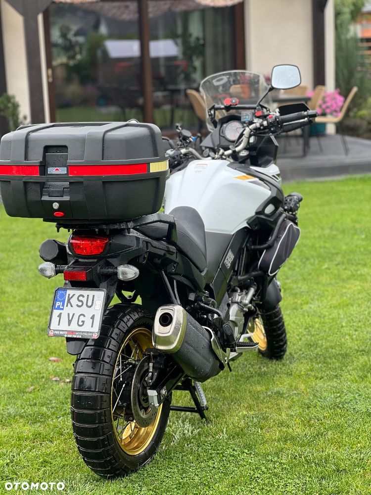 Suzuki DL - 8