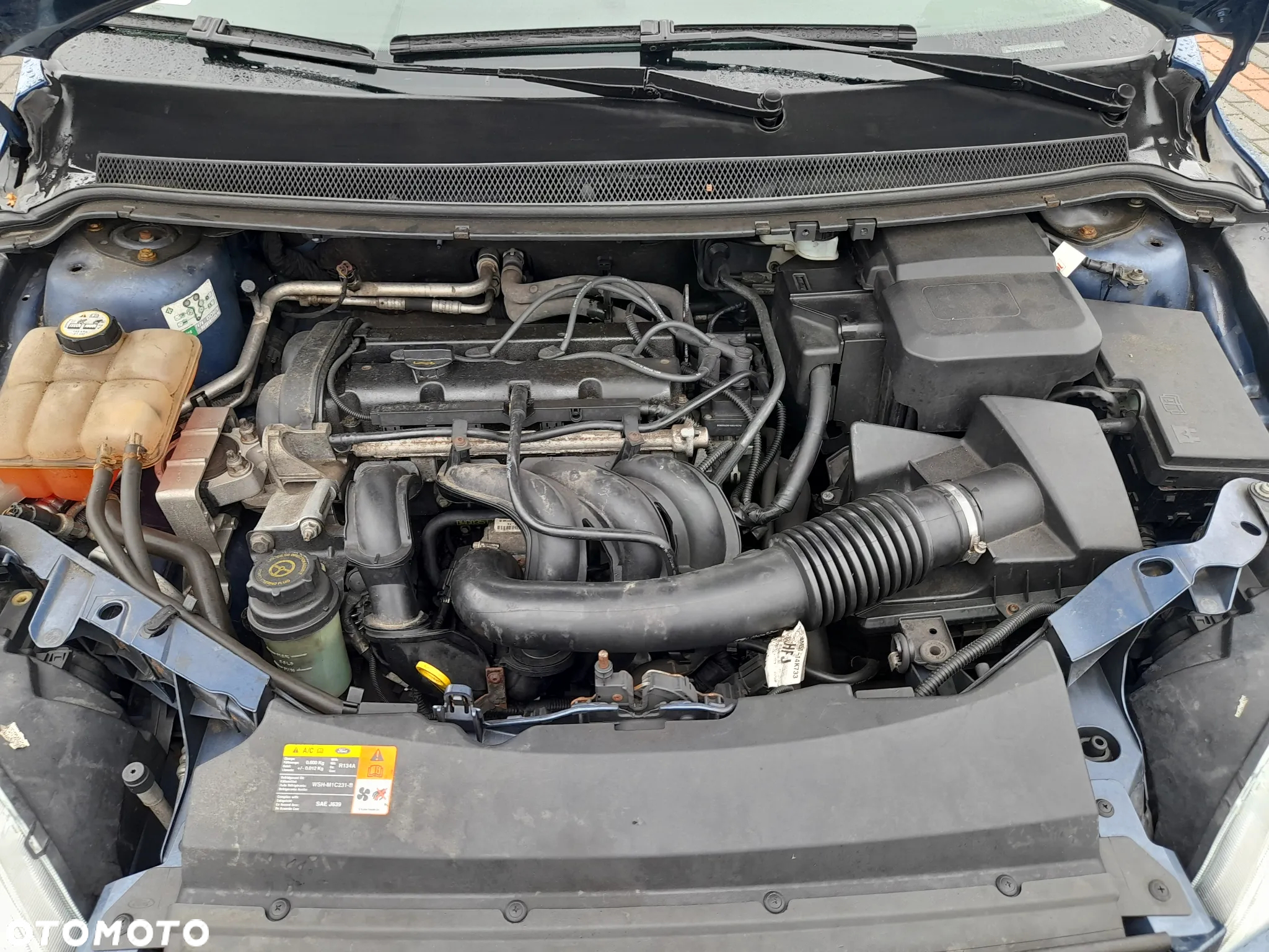 Ford Focus 1.6 Ambiente - 6