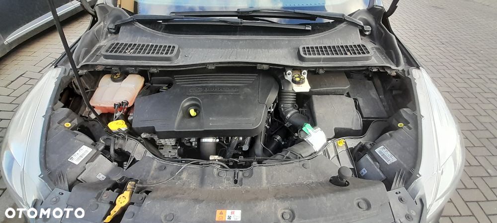Ford Kuga - 8