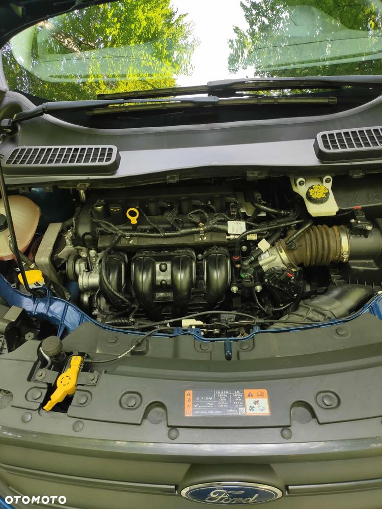 Ford Escape 2.5 FWD S - 8