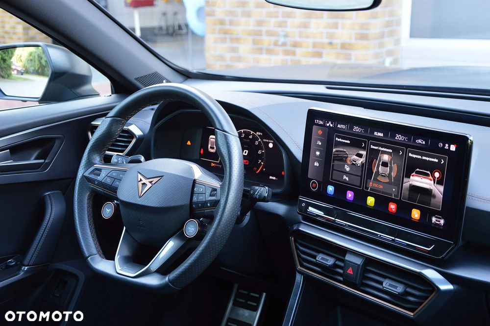 Cupra Formentor VZ5 2.5 TSI 4Drive DSG Enceladus Grey Matt Edition - 13