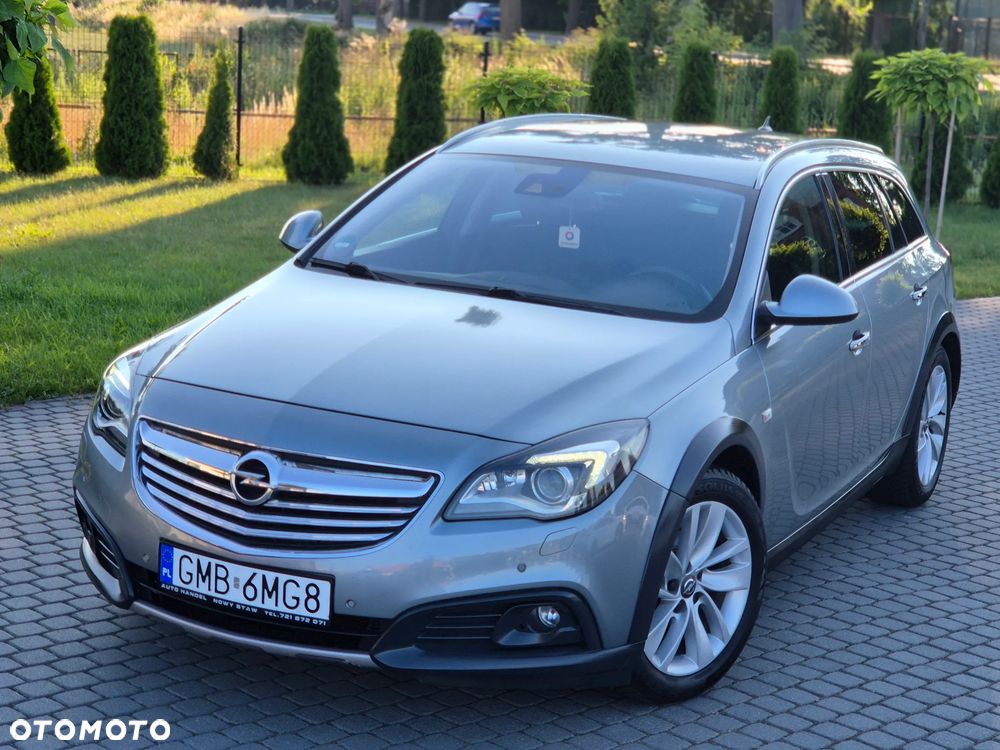 Opel Insignia 2.0 CDTI 4x4 ecoFLEX Start/Stop Business Edition - 19