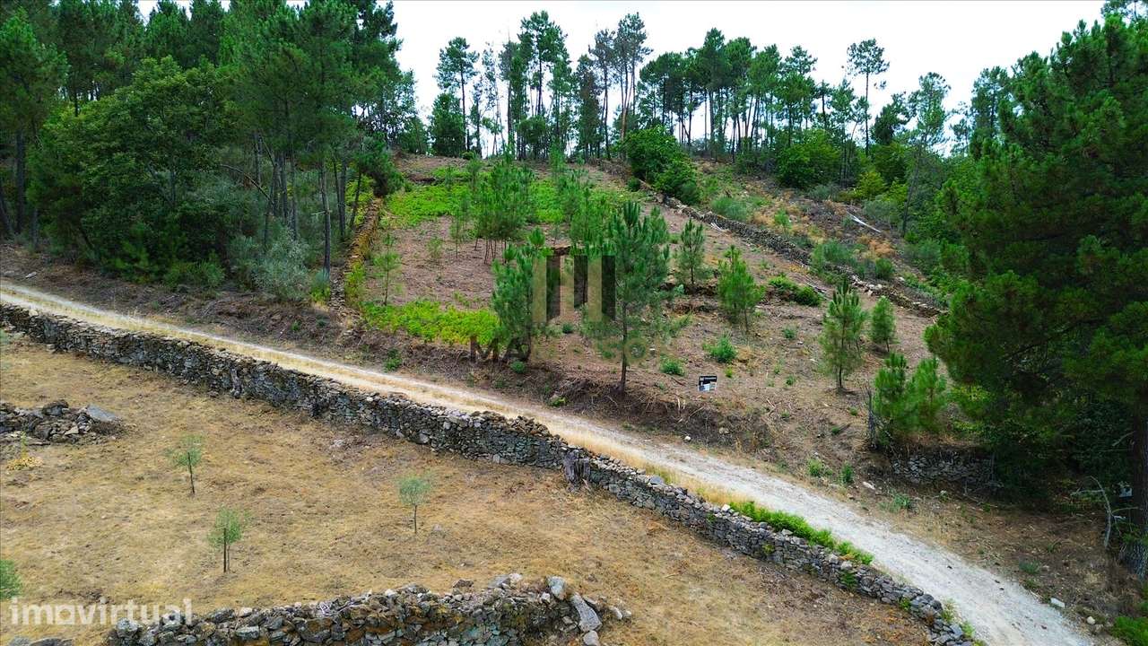 Terreno Rústico  Venda em Granja Nova e Vila Chã da Beira,Tarouca - Grande imagem: 5/8