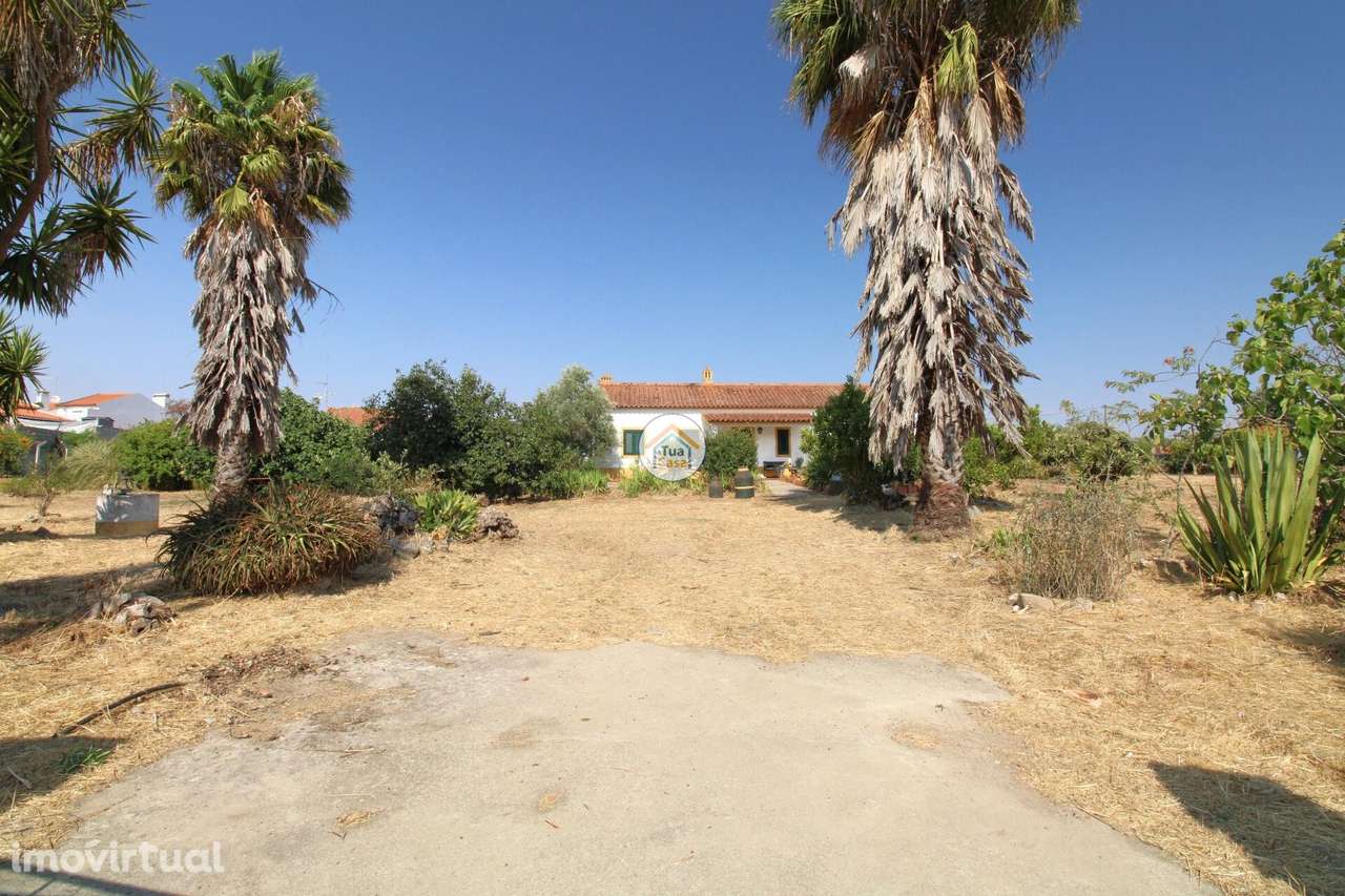 Quinta de 3050m2, Moradia T2 e Anexo 103,50m2 localizada em Foros de V - Grande imagem: 3/45