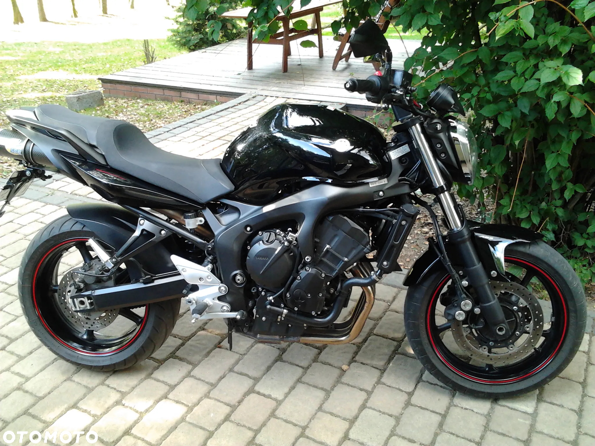 Yamaha FZ6 - 3