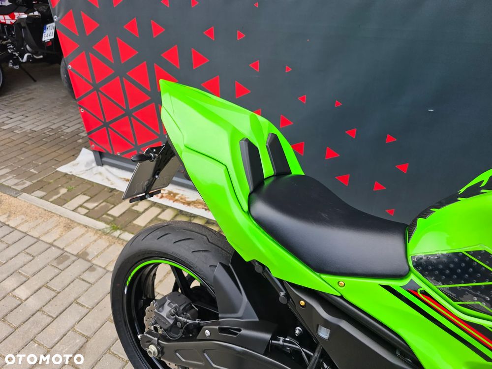 Kawasaki Ninja - 21