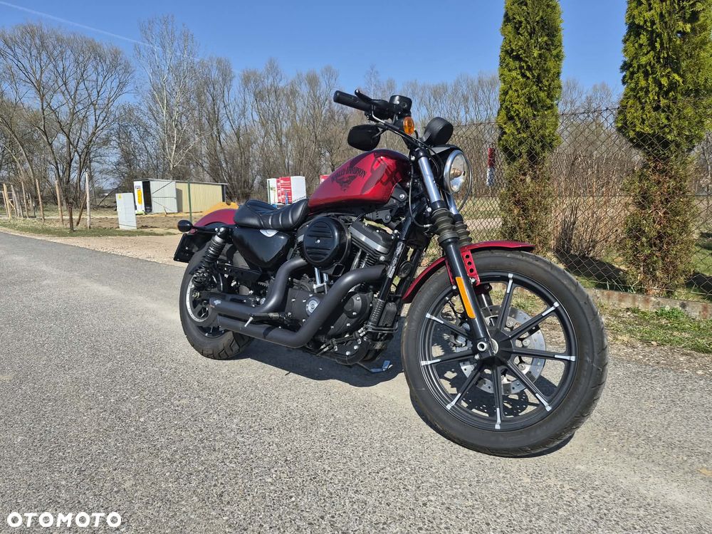 Harley-Davidson Sportster Iron 883 - 7