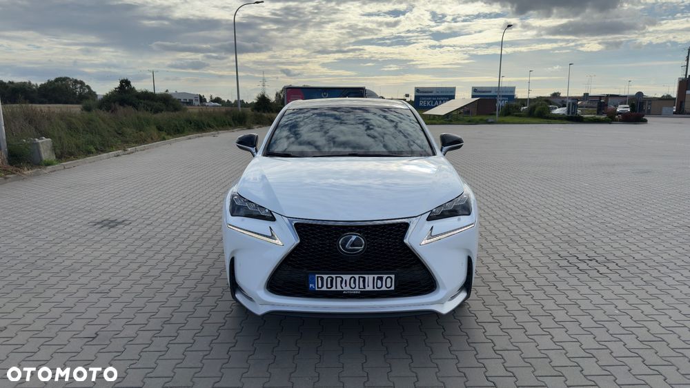 Lexus NX 300h F Sport Edition AWD - 8