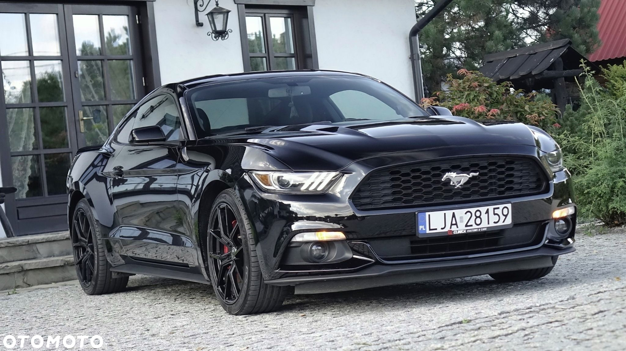 Ford Mustang - 21
