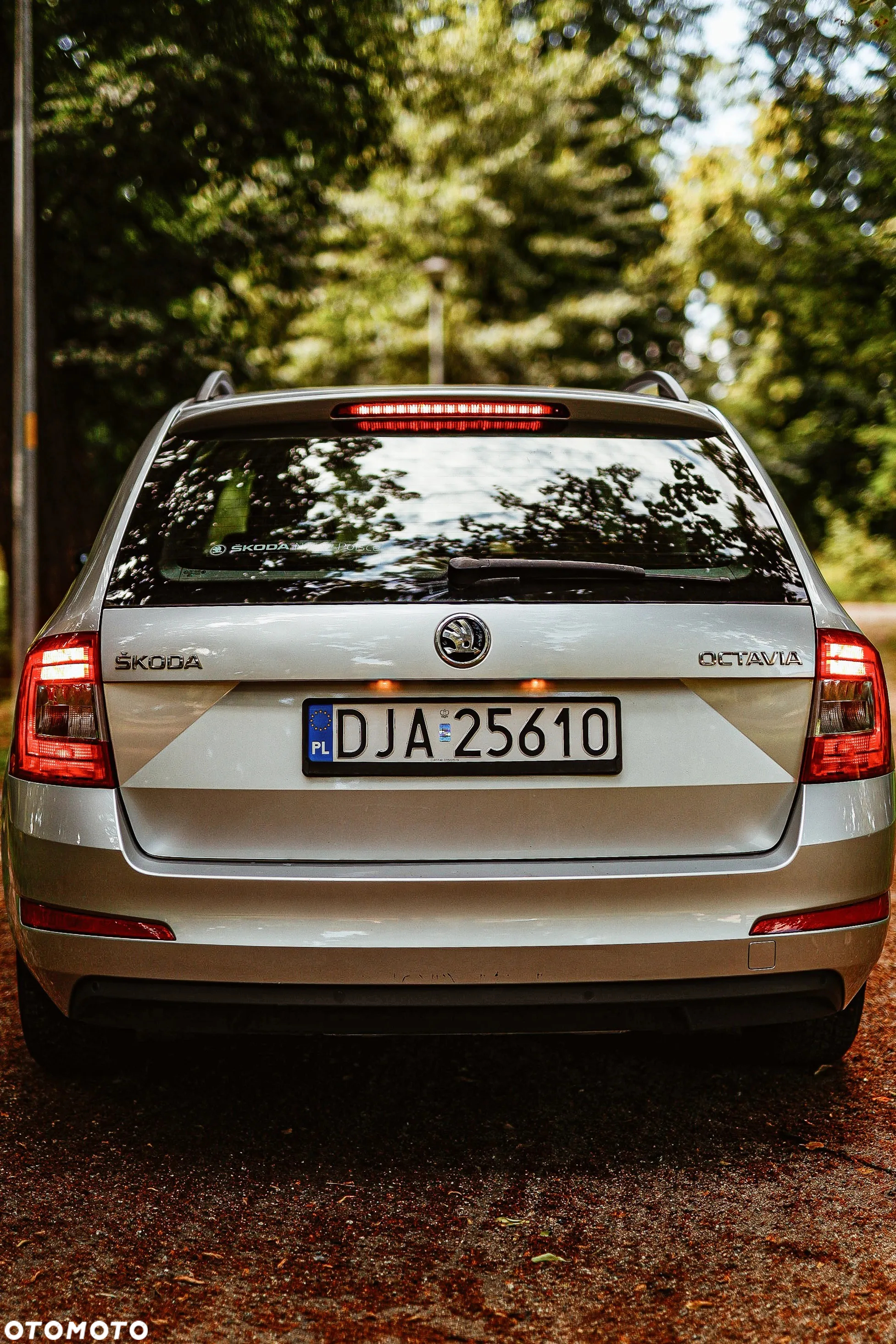 Skoda Octavia 1.6 TDI Active - 5
