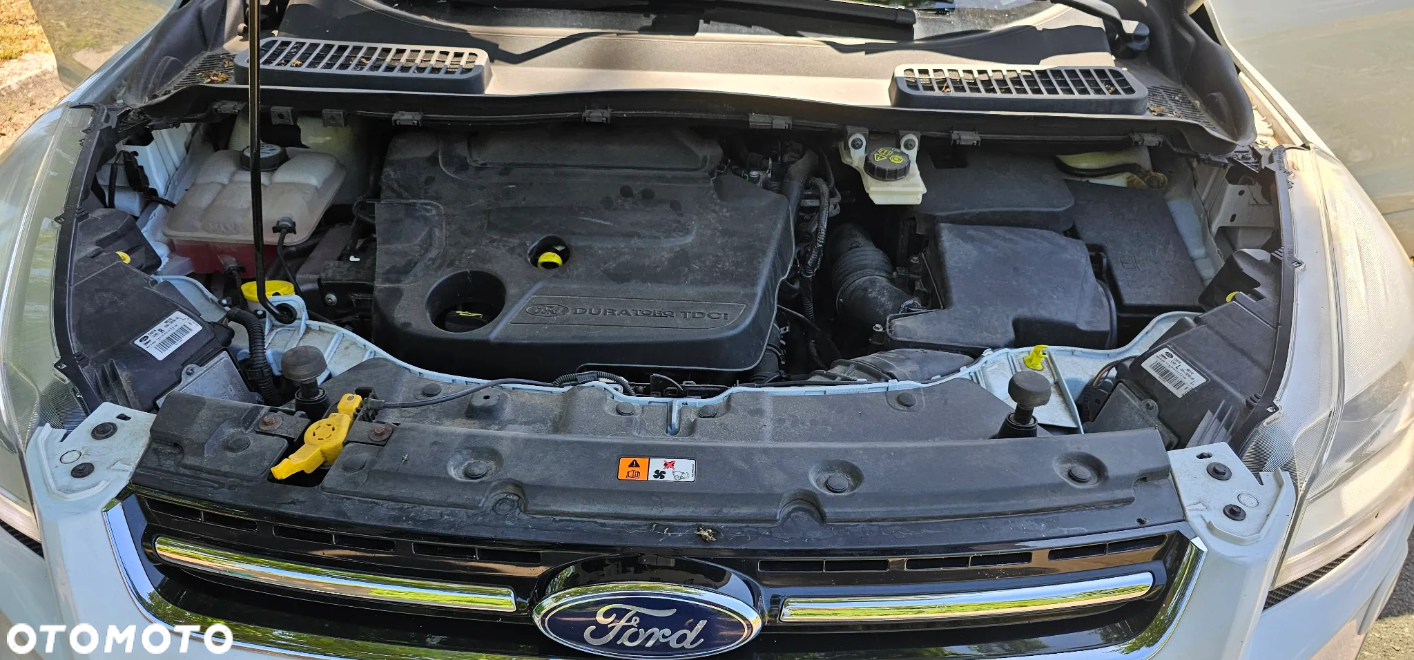 Ford Kuga 2.0 TDCi 4WD Titanium Plus - 12
