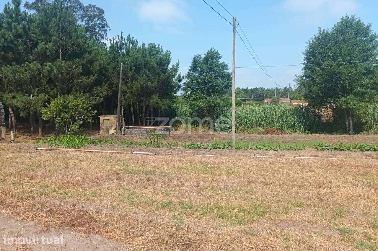 Terreno Agricola em Moita Vaqueira - Arazede - Grande imagem: 5/9